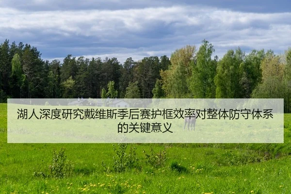 湖人深度研究戴维斯季后赛护框效率对整体防守体系的关键意义